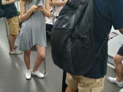 -广西大学(大学东路校区)