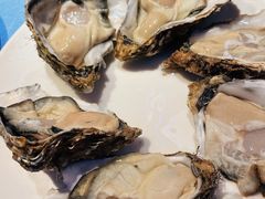 -千岛蚝高压锅生蚝·人参火锅(白云万达店)