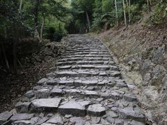 -仙霞关景区