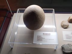 -宁夏博物馆