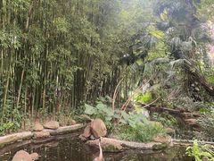 -广州兰圃