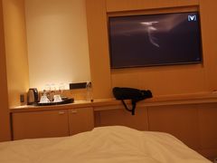 -广州白天鹅宾馆