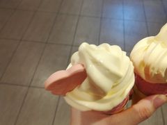 -麦当劳(温州人民路店)