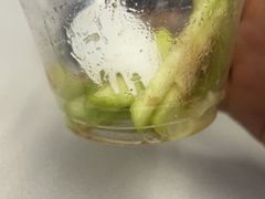 -奈雪的茶(中储能店)