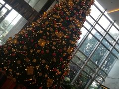 -上海宝华万豪酒店