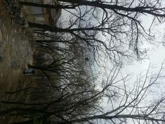 android_upload_pic-阳台山自然风景区