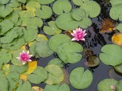 -白马涧龙池景区
