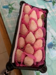 -镁连社·美联社