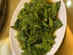 -山珍王国·云南野生菌石锅鱼