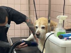 -FAELING PETS美天灵宠物(富力广场店)