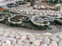 -成都市活水公园