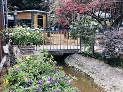 -凤来栖·净庭院·火锅(欧尚店)