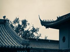 -灵谷景区