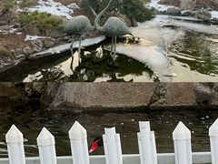 -罗红摄影艺术馆