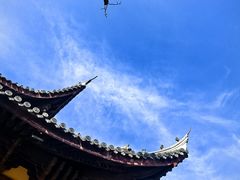 -龙华素斋(龙华路店)