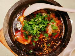 -新蜀会四川豆花(五羊店)