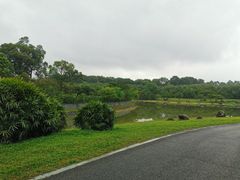 -松山湖南湖湾露营营地