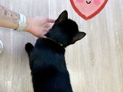 -源瑞康盲人推拿(尹山湖店)