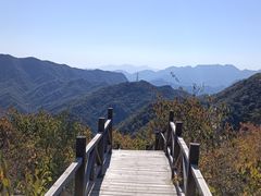 -大岭沟猕猴桃谷风景区