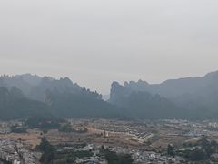 -猪脑壳凉面(武陵源店)