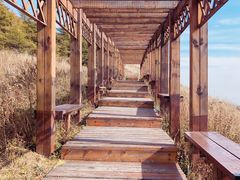 -白草畔自然风景区