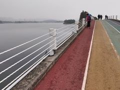 -贡湖湾湿地公园