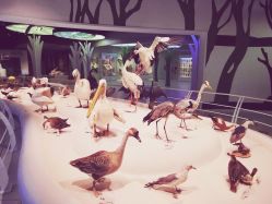 -恐龙探索乐园(磁器口店)