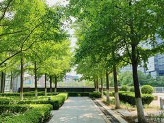 -小龙坎老火锅(北京三里屯店)