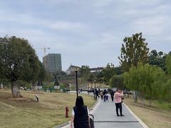 -东莞植物园