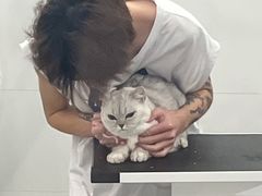 -comecome来吧宠物(奥克斯中心店)