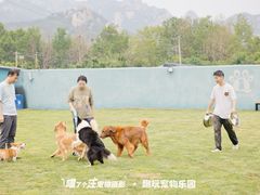 -趣玩宠物乐园寄养训犬训狗游泳池