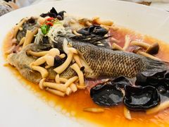 -青梅酒肆PLUS(长白仙岛北路店)