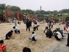 -枫香湖儿童公园