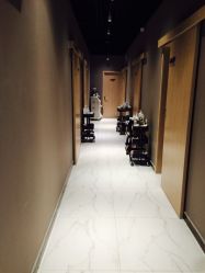 -三只熊皮肤管理中心