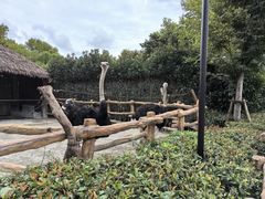 -上海野生动物园