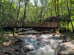 -云岫谷游猎自然风景区