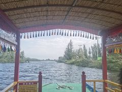 -白洋淀景区