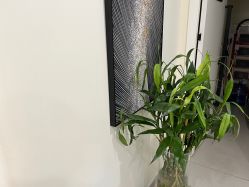 -海涛医疗美容·面部抗衰·注射美鼻