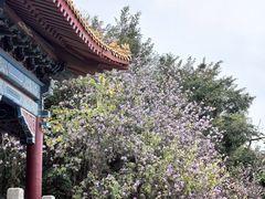 -南沙天后宫景区
