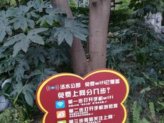 -成都市活水公园