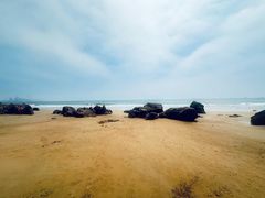 -海派美食·家宴海鲜青岛菜·石锅鲽鱼头(东方城店)
