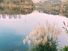 -重庆彩云湖湿地公园