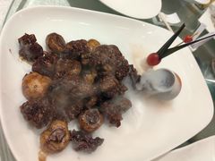-金美华轩(东方路齐鲁店)