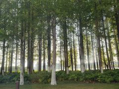 -云龙湖旅游景区