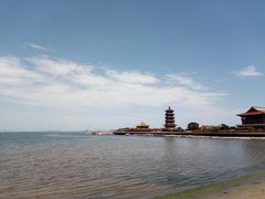 -宾朋海鲜特色美食餐厅·纯手工鲅鱼水饺(兴海路店)