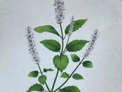 -颐而康·按摩·艾灸·足疗(武陵大道店)