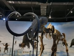 -辽宁古生物博物馆