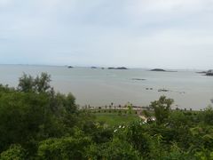 -野狸岛