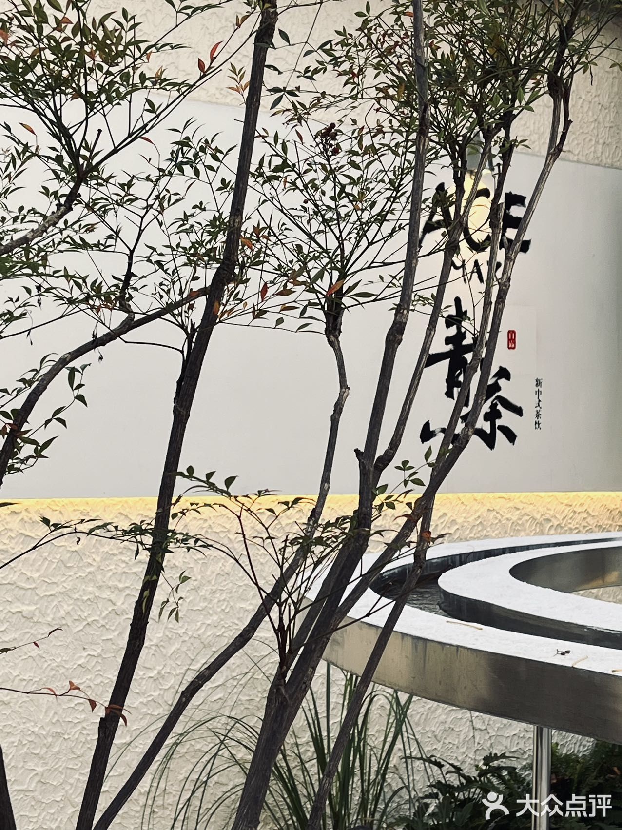 新中式茶可算被上海这个老板玩明白了❗