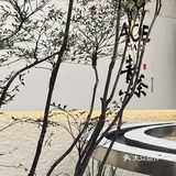 新中式茶可算被上海这个老板玩明白了❗